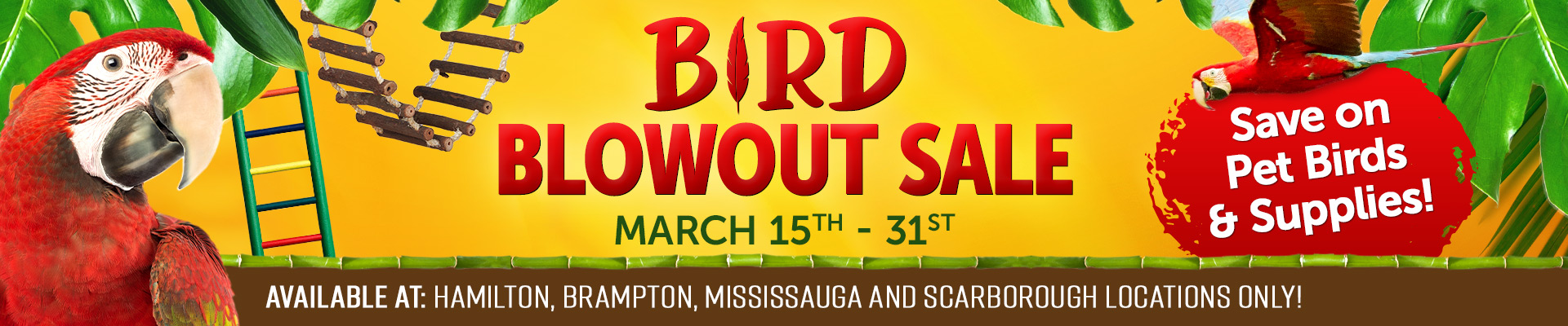 Bird Blowout Sale